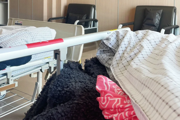 94c1443773a46e2de369ead9d6d77bc1.png 没想到取卵后痛的要晕过去了