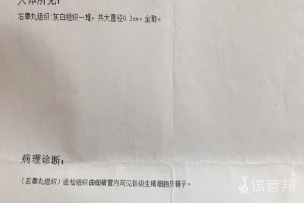 4135447a9f7ab60011705d66caf9f946.png 睾丸穿刺后医生给了2个怀孕方案