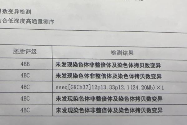 三代试管婴儿囊胚筛除结果终于出来啦