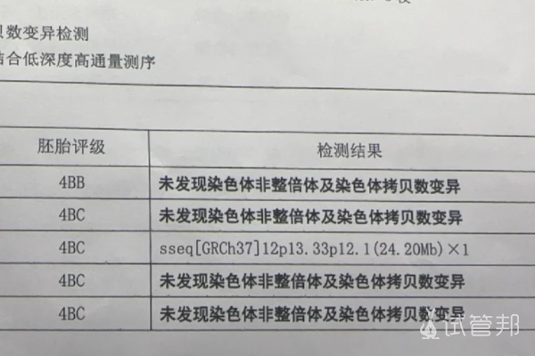 三代试管婴儿囊胚筛除结果终于出来啦