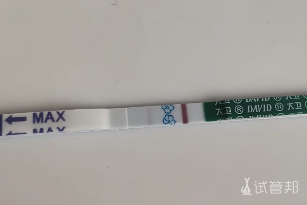 c8f9e0b593b5953b17ebd1f972bf4467.png 做人工授精一次就成功了太幸运了