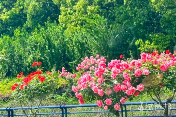 d323ed7df7d84f16ffa05023964e92a5.png 试管婴儿3移失败要继续吗