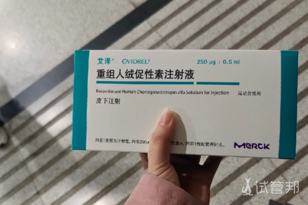 6044276e4f80bbde1c6643dd66595fb5.png 三代试管婴儿2移都失败告终