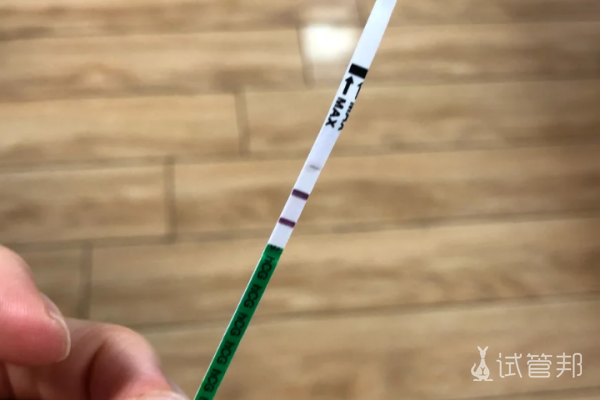 f5dc78bf3b813056d726731c72cae6a5.png 睾丸穿刺都没有精子还能成功怀孕