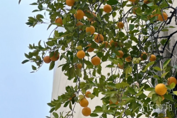 cf9b43429e6048821dff6b00cff0ea02.png 做试管婴儿心态最重要