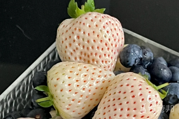 06590d05bcf0cc1623f0f22e351123ad.png 好神奇感受到了着床的瞬间