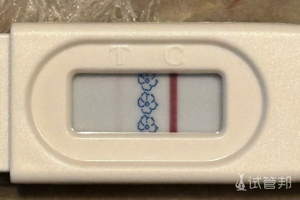 1269620f48b49a1ec3f5b85613b5de86.png 做好这些事提高囊胚移植成功率