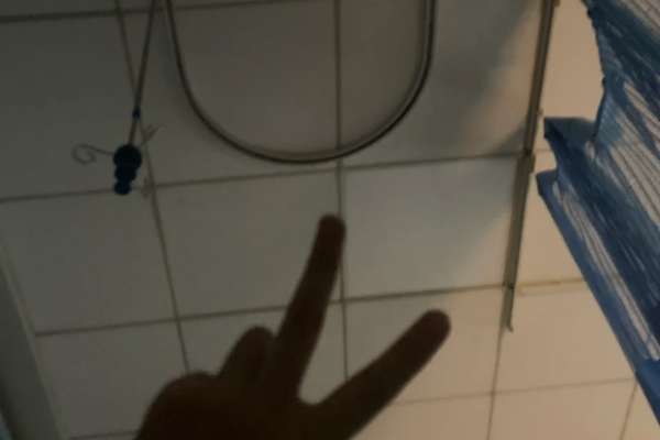 361135e6adf86fa154341a979c223187.png 养囊结果出来了