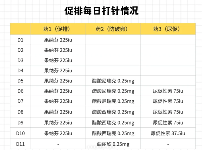 试管婴儿促排卵成功完成