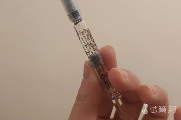 19881a2ab3180dd3049b4ce404634ac2.png 试管经验分享卵子促排注意事项有哪些