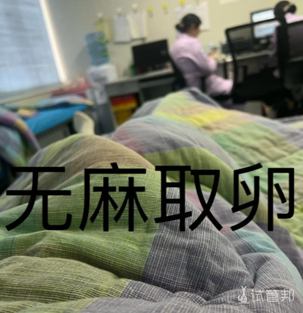 cb63a48c5310971a6b348756680de1b2.png 无麻取卵经历以及过程中的疼痛感受分享