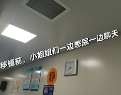 快速怀孕秘诀，人工授精攻略分享，姐妹们快来看哟！