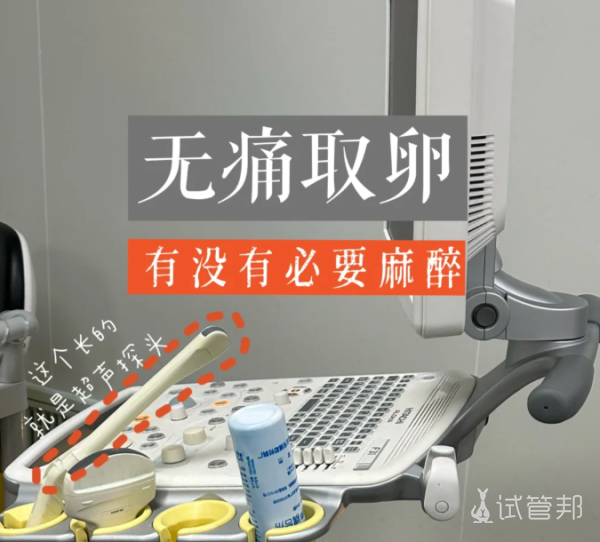 235d309481b8a5186b14b58ae51cf9e3.png 做试管婴儿取卵要不要麻醉