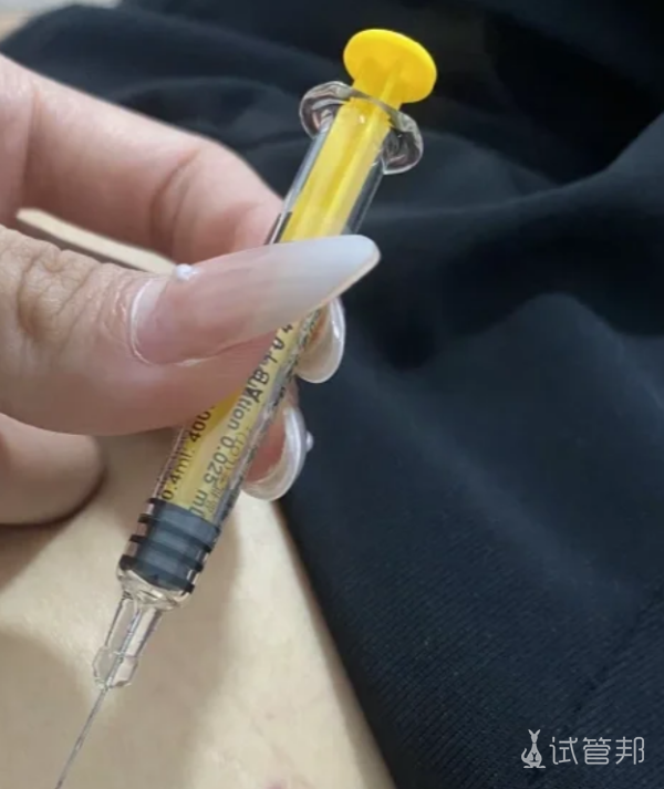 b953c3a3ffc1c8b7531c19ba4106c825.png 试管需要多长时间