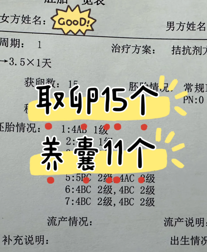 天哪，我37岁居然养成了11个囊胚