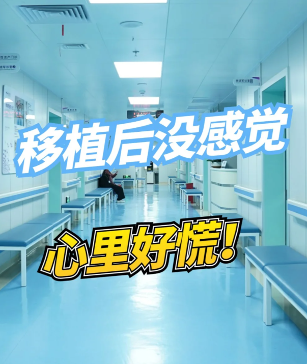 6050cf8aba079a79021c92feb3db0eb9.png 试管婴儿移植后一直没感觉是不是失败了