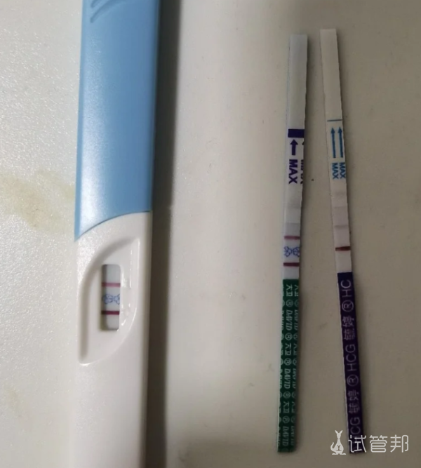 74bcf96ffa55099c05016f6b8aff13b3.png 试管宝宝很脆弱吗