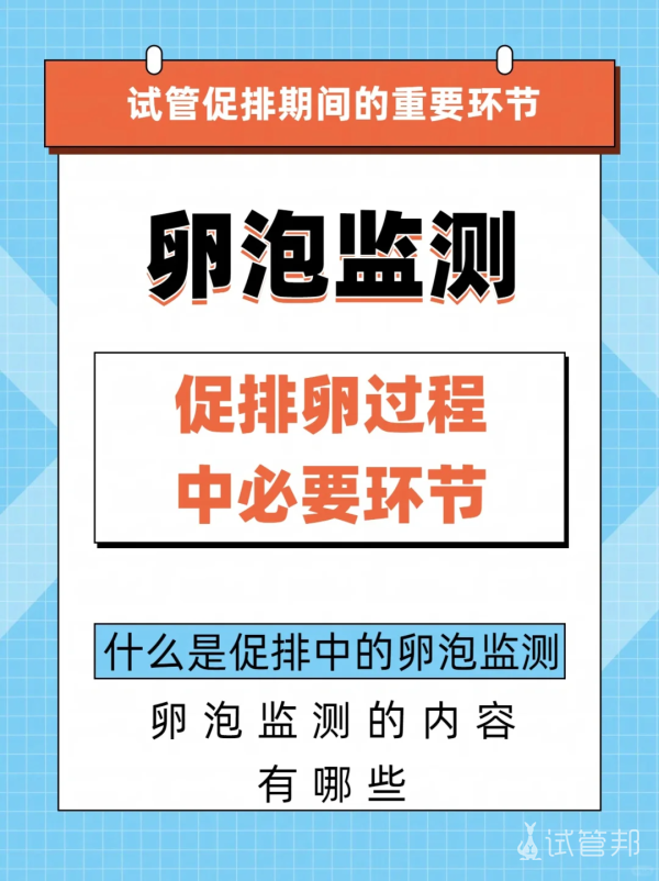 78cd780f0861bd4892a9fb6914be3b1e.png 试管促排秘籍卵泡监测你的成功之路