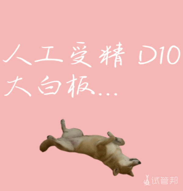7a757eed70981927f9f3595c02257659.png 人工授精第十天依旧是白板