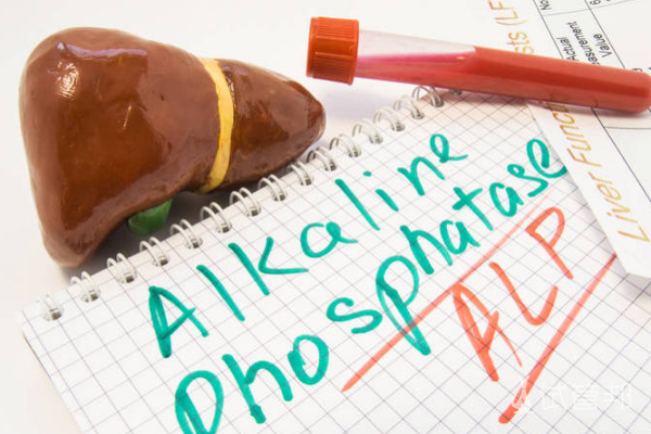 bb6eb26ddef8ae80a668f2ce78c3d4e3.png 慢性乙型病毒肝炎可以生孩子吗/