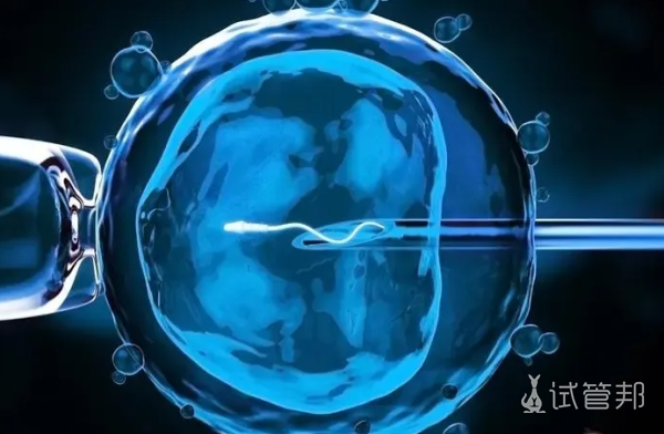 94e81b758d29c934696cb8b096dbe342.png 人工授精成功率高吗