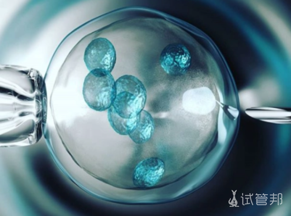 dc7d503b0fb859093ce7093d1783be54.png 人工授精多少钱