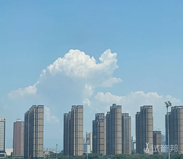 40ed0726d5eda1cbae6e6993344de941.png 老公确诊畸精症最终我们选择了做试管婴儿