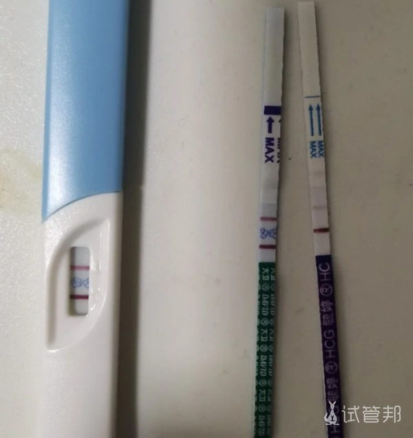 9098eba895b6cba3dfc345f9431877c0.png 我为什么选择了泰国做试管来看看吧