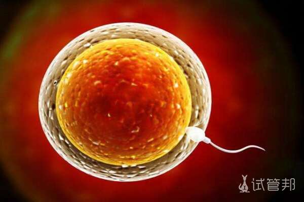 55c2baf98bd292e7f63b8a4e2dd0c29e.jpeg 提高卵泡质量吃哪种辅酶q10