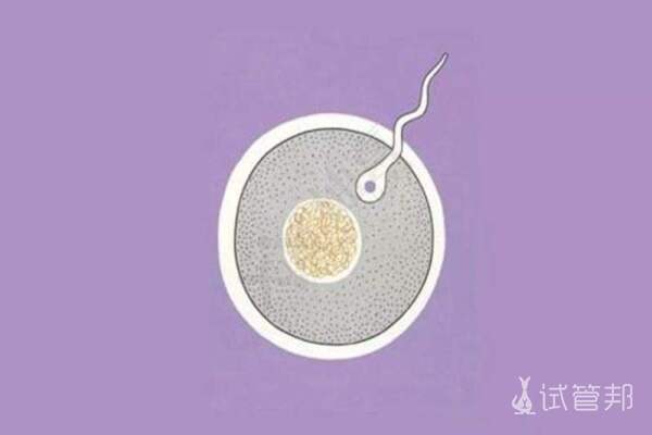 8f9aaaf75aa96589ff6676e6fbe4f13f.jpeg 卵泡质量不好怎么回事