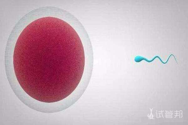 dfc2a2eb36f22f0e4224792309264944.jpeg 辅酶q10可以提高卵泡质量吗