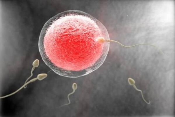 e78186e5dfb202c4519cfa2f8f7a15c8.jpeg 卵泡发育不好能不能形成胚胎