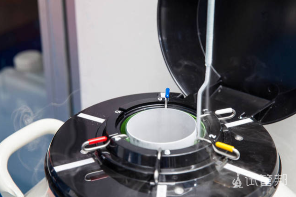 1f6c309ff15d5cc3028e794bf125c820.png 女性冻卵之后怎样使用