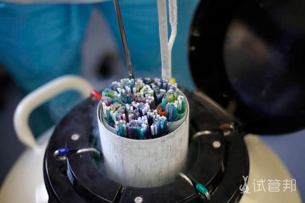 0d1e29e7d345dcbb46c742ba90325abf.png 美国冻卵一年的保存费用是多少