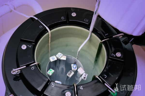 28317dccdfc676efa503e7522594631d.png 美国冻卵费用是多少