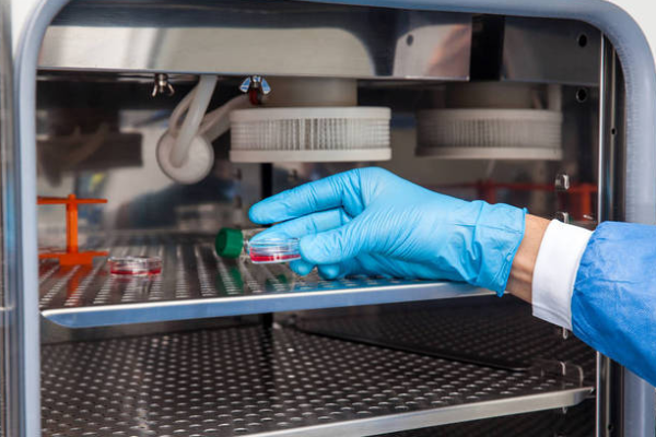 6b0d40ad26b0c9c274184d052b83e613.png 美国冻卵要满足哪些条件