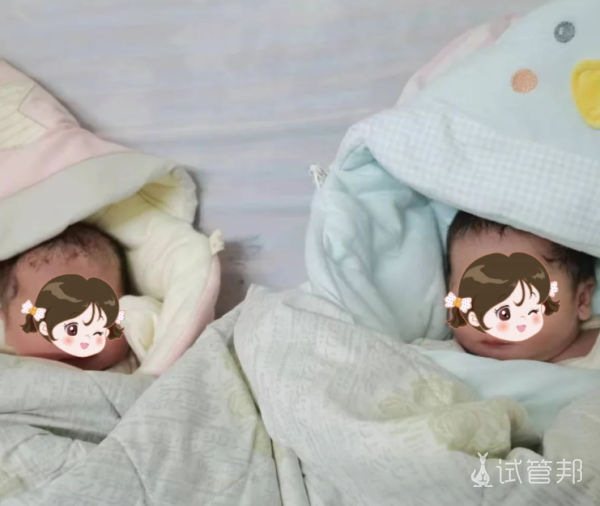 aa94442bfde3a757f07cadd962ba64eb.png 33岁生了双胞胎我做了哪些事
