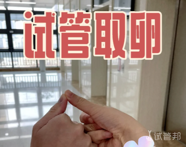 dd8c498d3d1572525defb1cabe31f123.png 你敢信我取了32个卵子