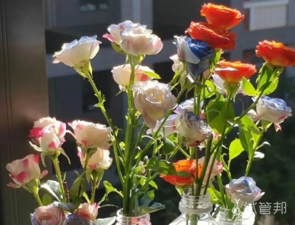 379ecd5641eb87c4715bafe7f20c482c.png 回顾试管经历后我真的懂了释怀