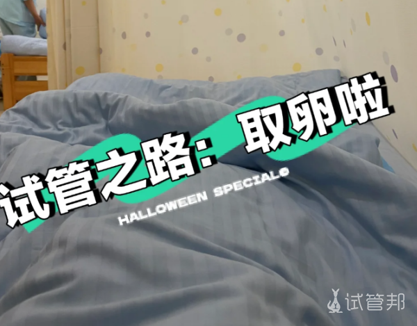 bc3177a596aa7b1d6bf474be9408d44b.png 试管取卵后的注意事项分享