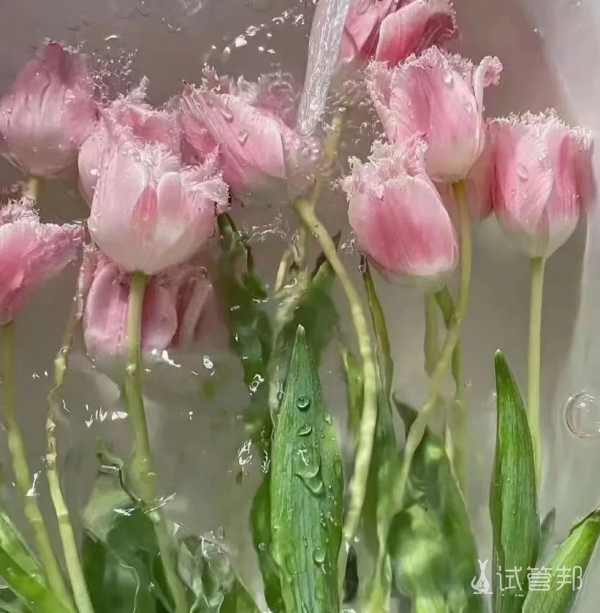 c1f078d2067b776c6659c5c68e779371.png 试管婴儿进行中说说心理话