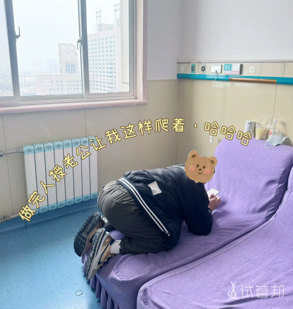 f49d5918a9380277e85682fa0ee37a68.png 人工授精两次上岸我的心得分享