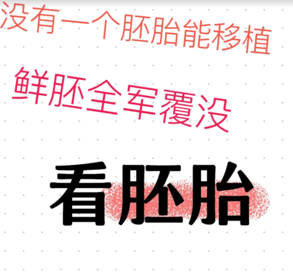 ffa4ff7628f35735d86d2f55a2448310.png 没有胚胎能进行移植