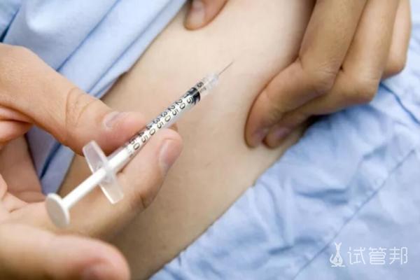 4f5378cd139029b1a925fee34feb2847.jpg 风疹病毒抗体阳性影响怀孕吗