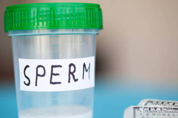 6dda852870dbf4abf3444a0b702322b9.png 肾功能检查包括哪些项目