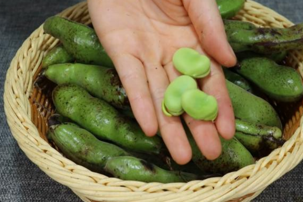 蚕豆病不能接触的东西有哪些