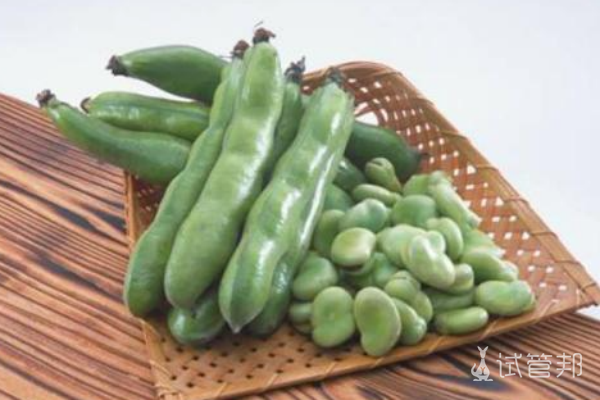 蚕豆病宝宝不能吃的食物有哪些