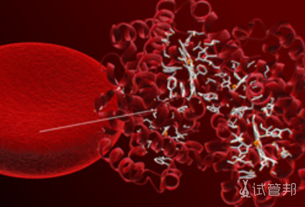 894920db199198978b4a06f27b564a77.png 血管性血友病能预防吗