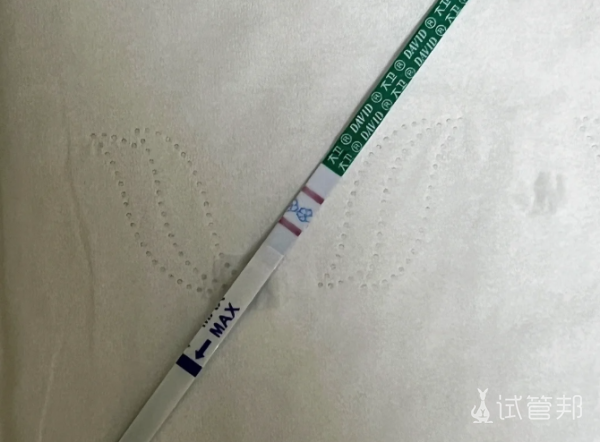 adea1d210dfb44c5c01960bc95cbaab3.png 通过试管婴儿终于怀上宝宝啦