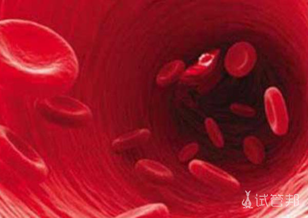 c8f00fbc61991e3d91c779d778afcb1e.png 血管性血友病能不能做试管婴儿